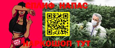 гашик Ярославль