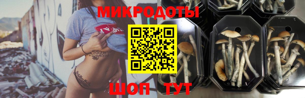 Азнакаево  Псилоцибиновые грибы прущие грибы  Вход с VPN 